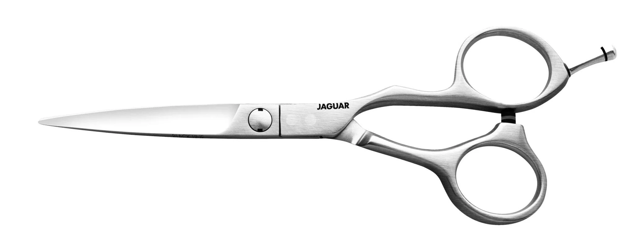 Jaguar Schaar Vision 5.75 - SUPERSTUNT!