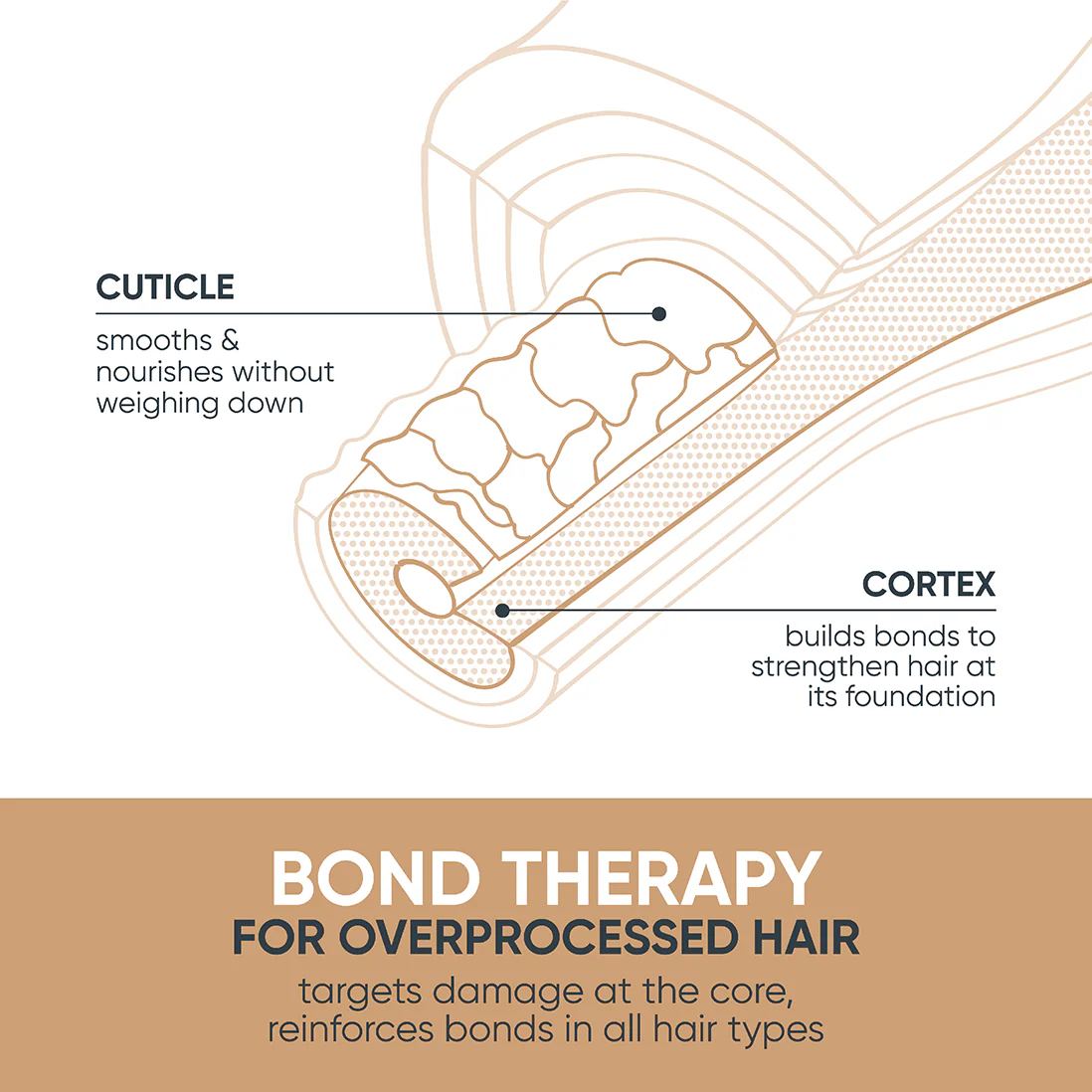 Matrix Biolage Bond Therapy Shampoo 1000ml - Image 5